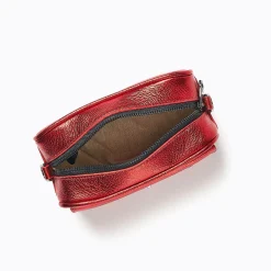 Online Botkier Valentina Mini Camera Crossbody Metallic Sunset